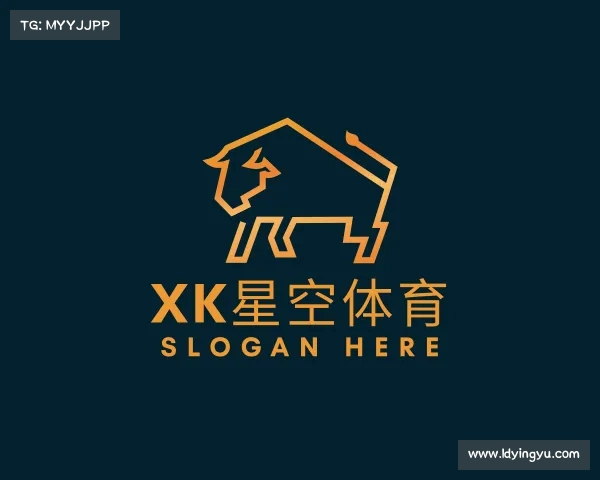 认识XK星空体育